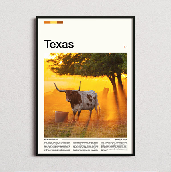 Texas - Longhorn Cattle At Sunset - Travel Print