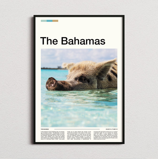 The Bahamas - Swimming Pig In Turquoise Water - Travel Print