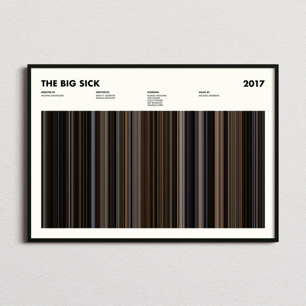 The Big Sick Movie Barcode Poster