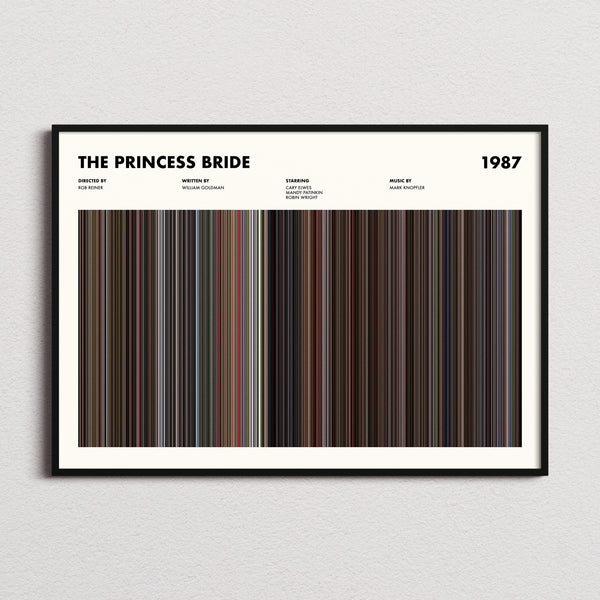 The Princess Bride Movie Barcode Poster framed and photographed straight on
