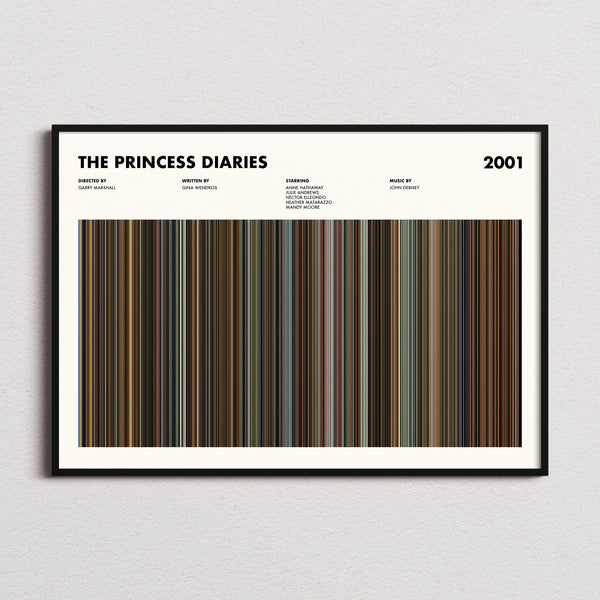 The Princess Diaries Movie Barcode Poster framed and photographed straight on