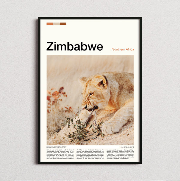 Zimbabwe - Resting Lioness - Travel Print